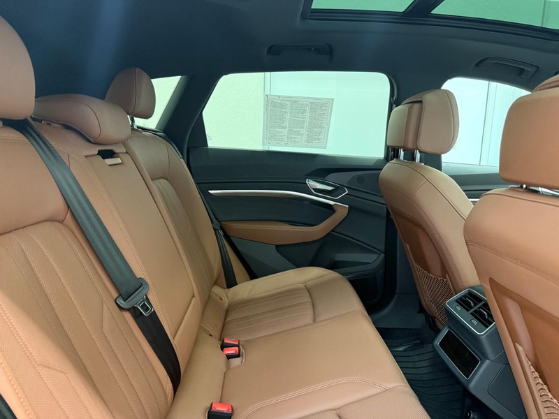 Audi e-tron Vehicle Image 8