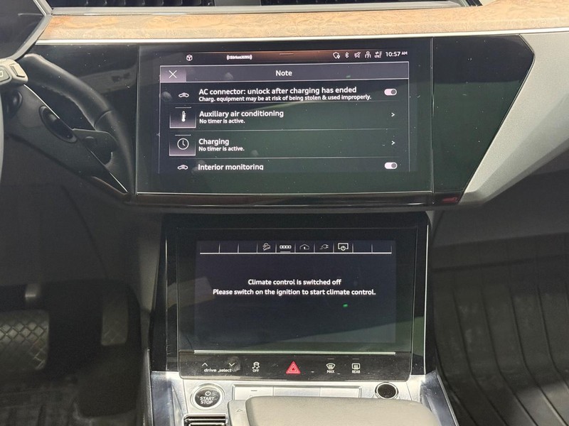 Audi e-tron Vehicle Image 10
