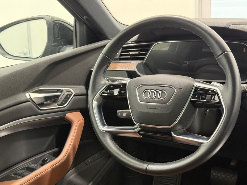 Audi e-tron Vehicle Image 12
