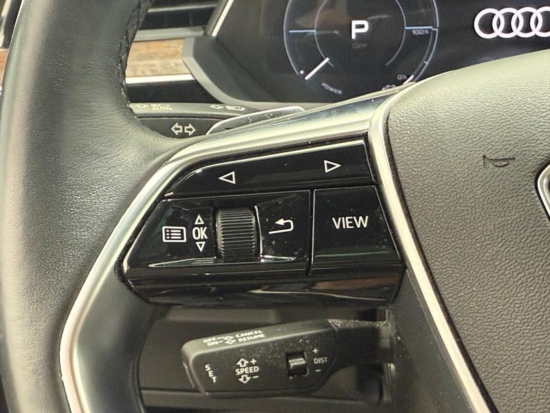 Audi e-tron Vehicle Image 14