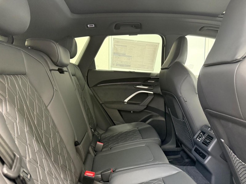 Audi SQ5 Vehicle Image 4