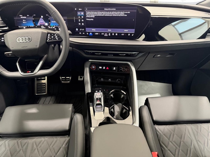Audi SQ5 Vehicle Image 5