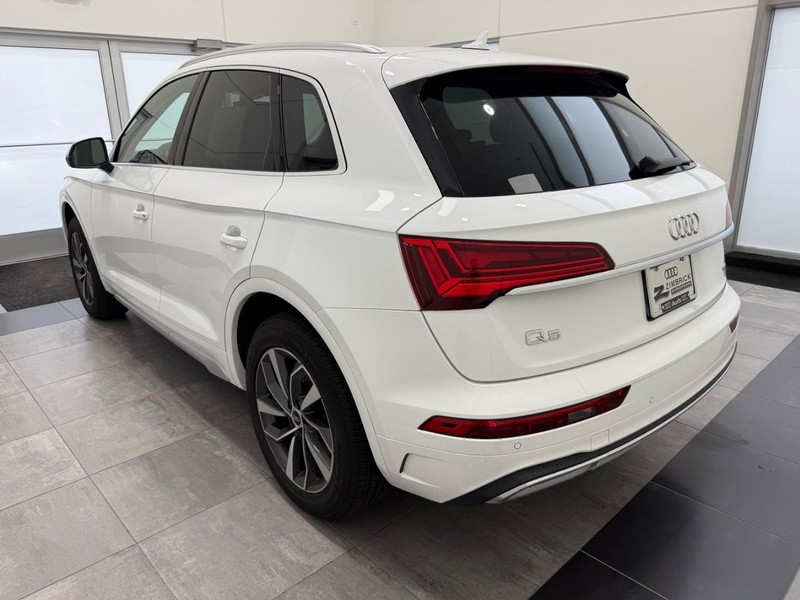 Audi Q5 Vehicle Image 4