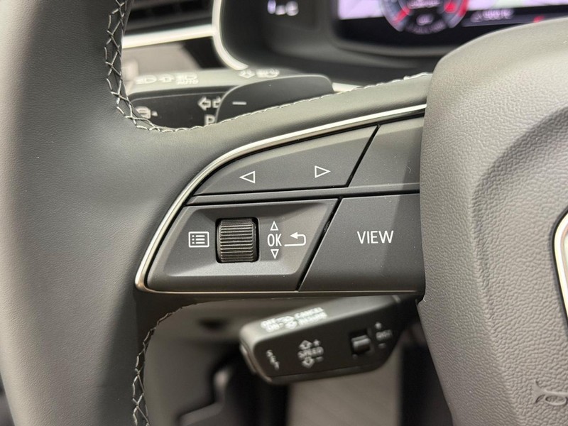 Audi Q7 Vehicle Image 11