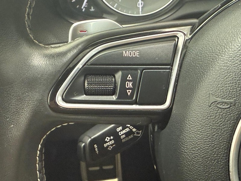 Audi SQ5 Vehicle Image 14
