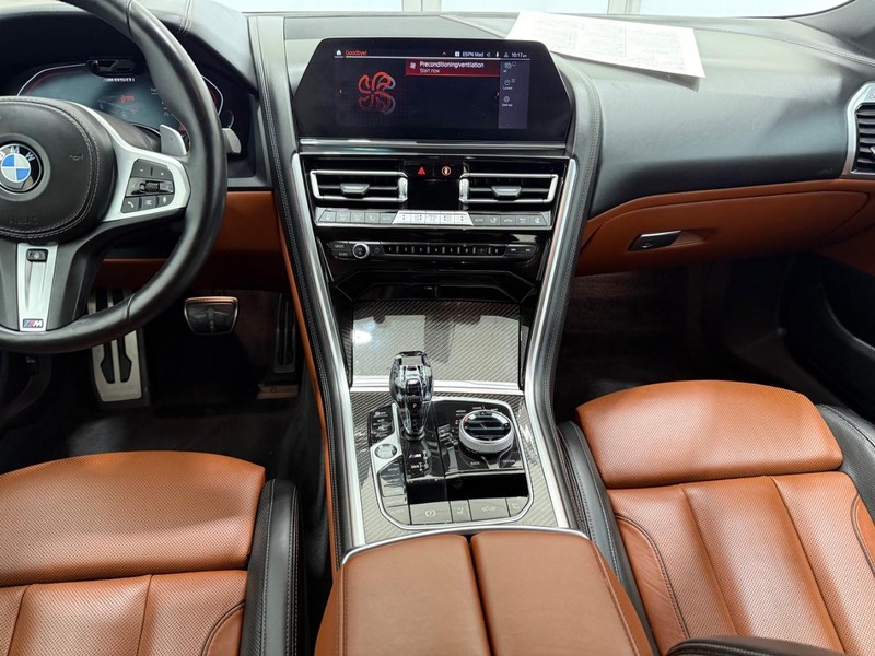 BMW 8 Series Vehicle Image 9