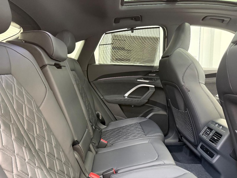 Audi SQ5 Sportback Vehicle Image 4