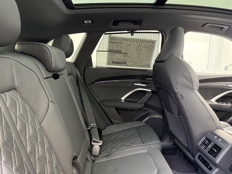 Audi SQ5 Vehicle Image 4