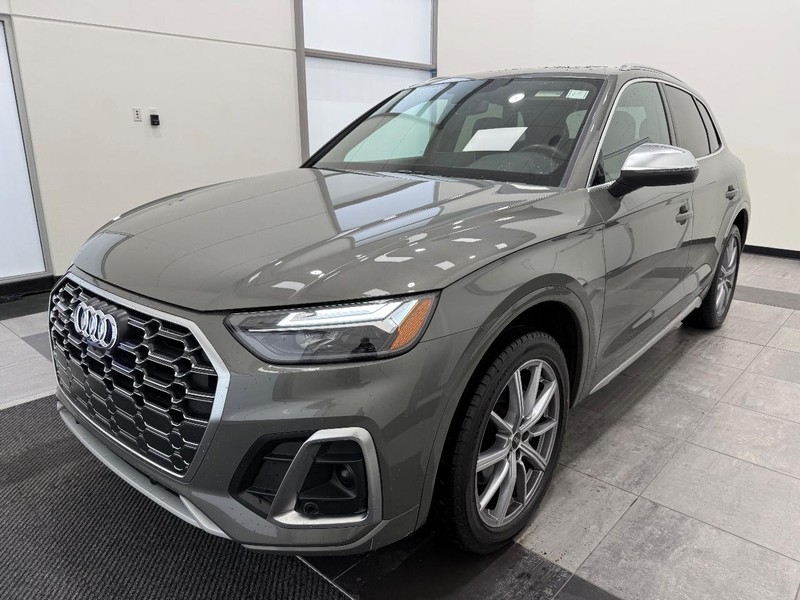 Audi SQ5 Vehicle Image 6