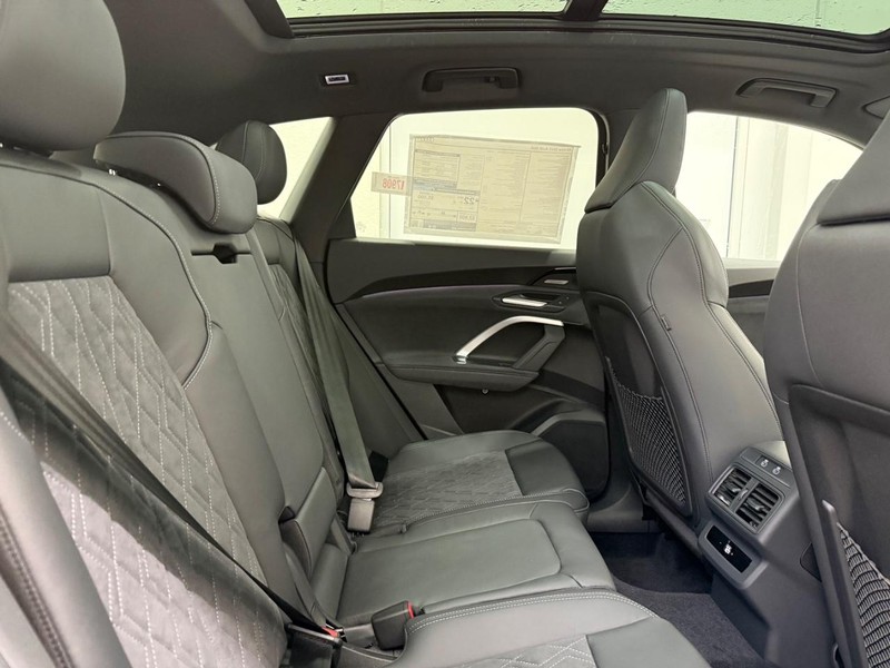 Audi SQ5 Vehicle Image 4