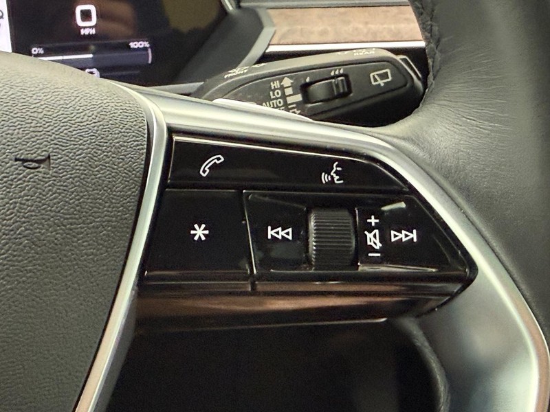 Audi e-tron Vehicle Image 16