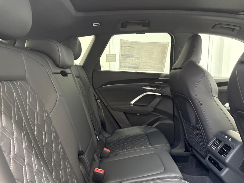 Audi SQ5 Vehicle Image 5