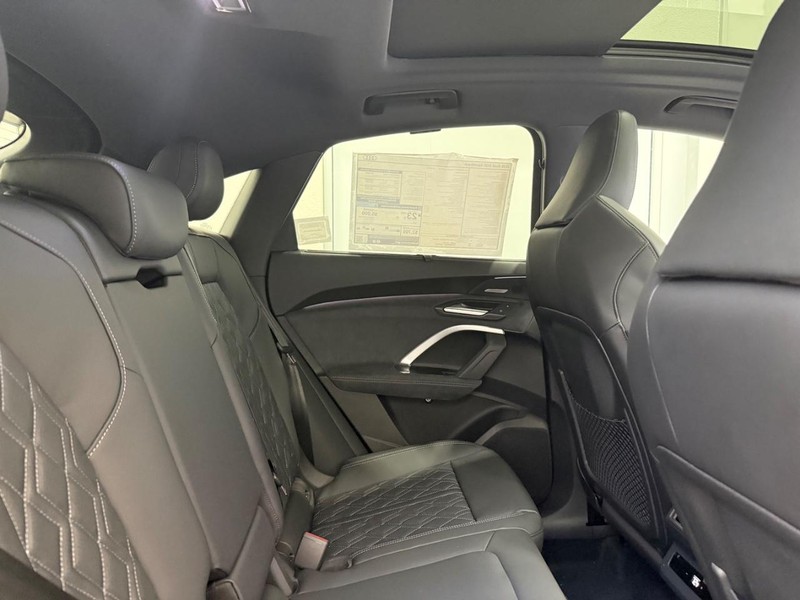 Audi SQ5 Sportback Vehicle Image 4