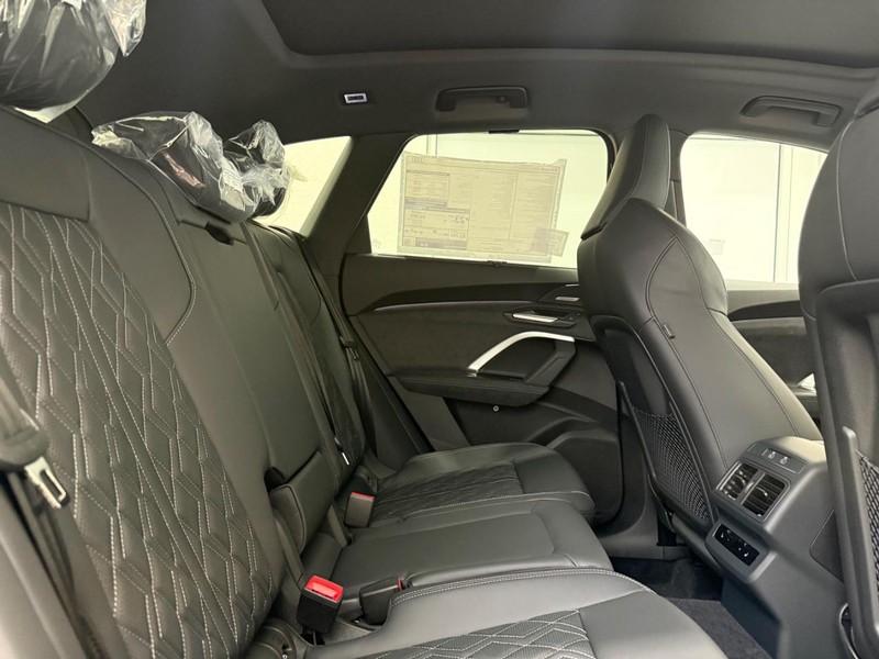 Audi SQ5 Vehicle Image 4