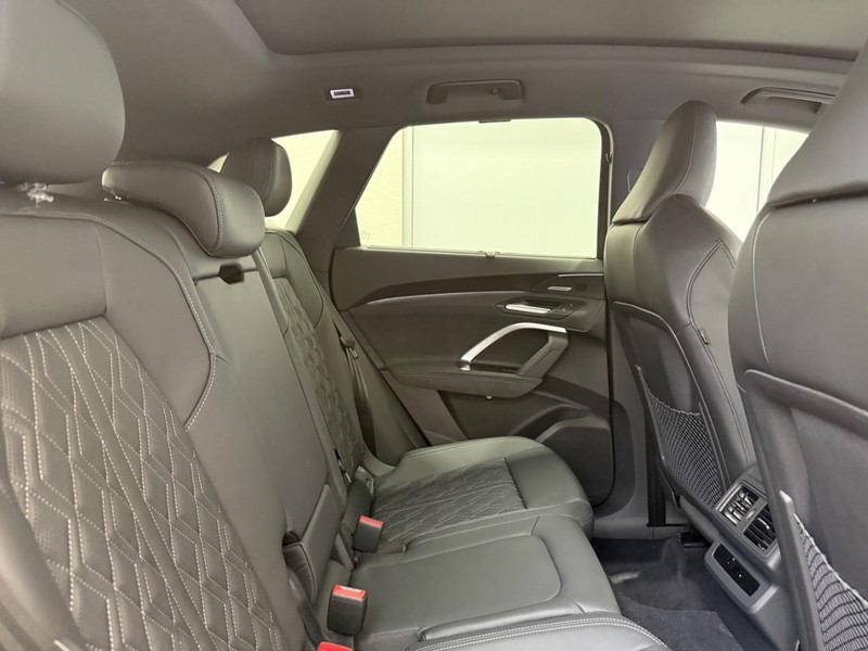 Audi SQ5 Vehicle Image 4