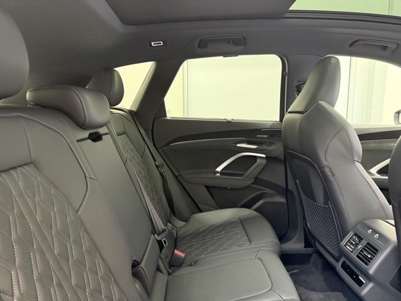 Audi SQ5 Vehicle Image 4