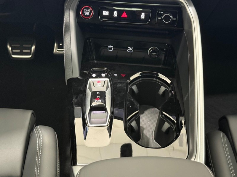 Audi SQ5 Vehicle Image 7