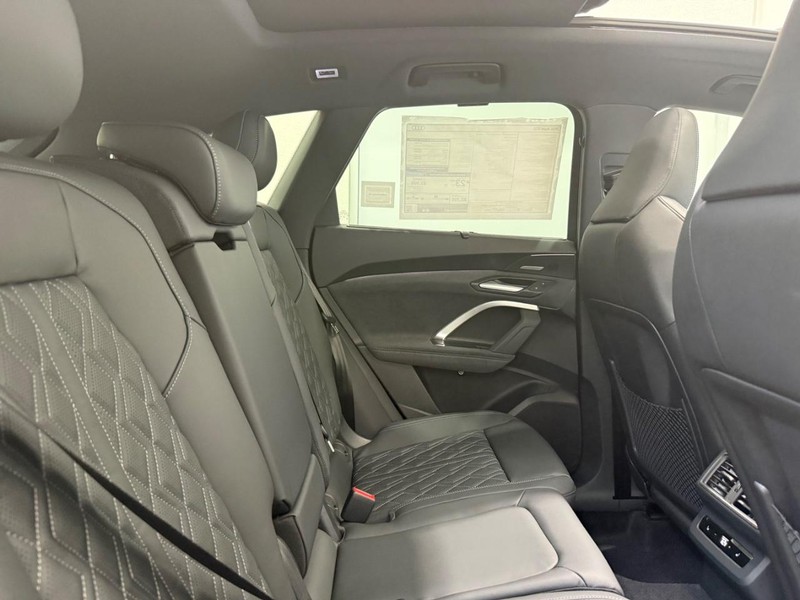 Audi SQ5 Vehicle Image 3
