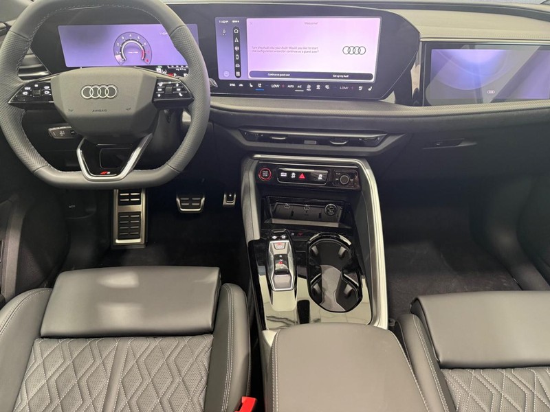 Audi SQ5 Vehicle Image 4