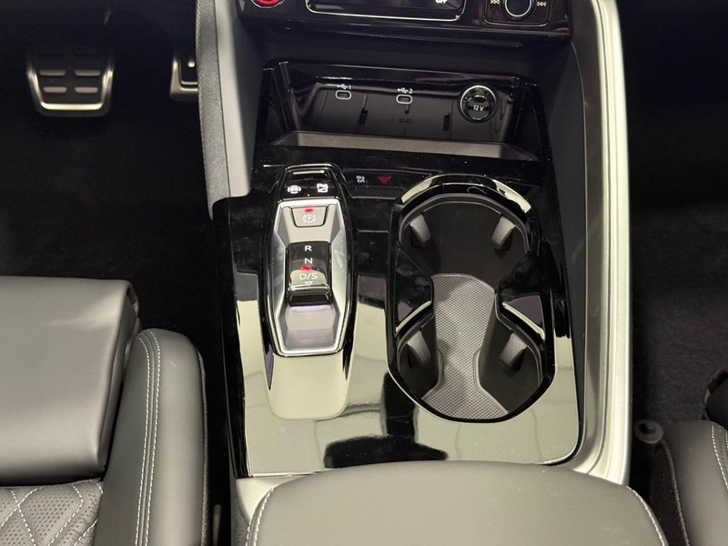 Audi SQ5 Vehicle Image 6