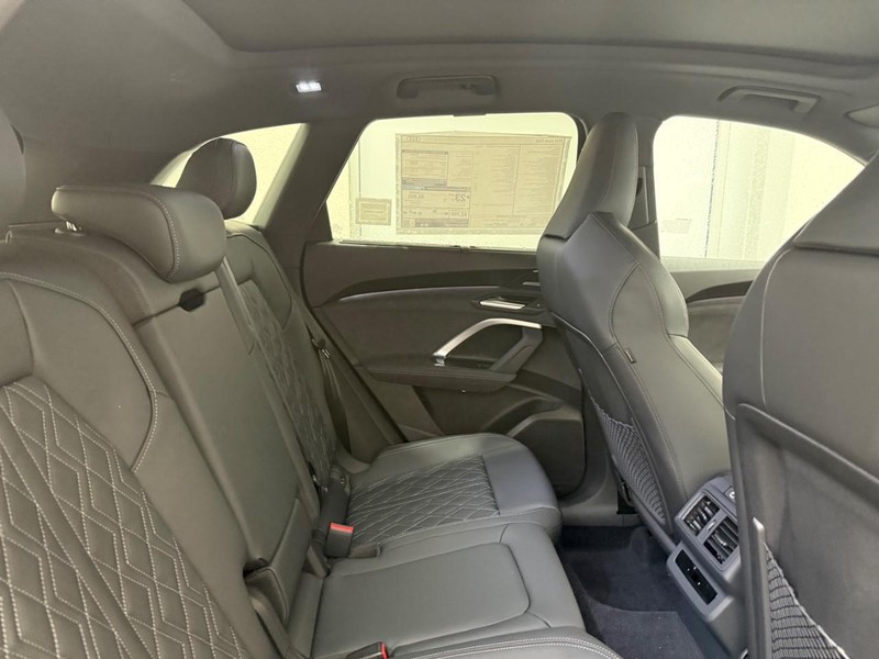 Audi SQ5 Vehicle Image 4