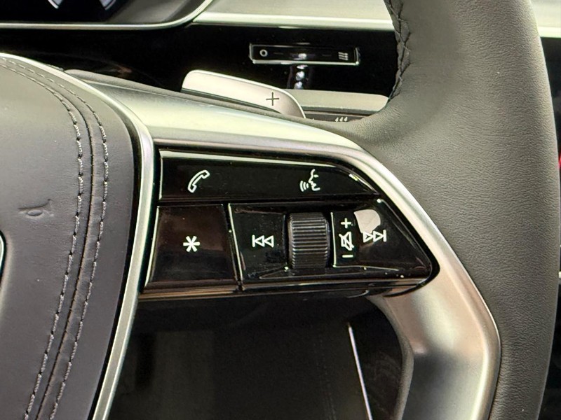 Audi A8 Vehicle Image 13
