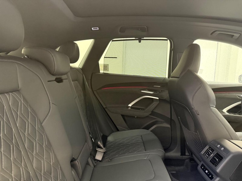 Audi SQ5 Vehicle Image 4