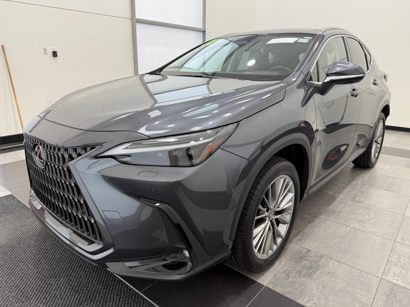 Lexus NX Vehicle Full-screen Gallery Image 6
