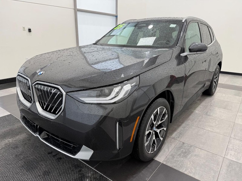 BMW X3 Vehicle Full-screen Gallery Image 6