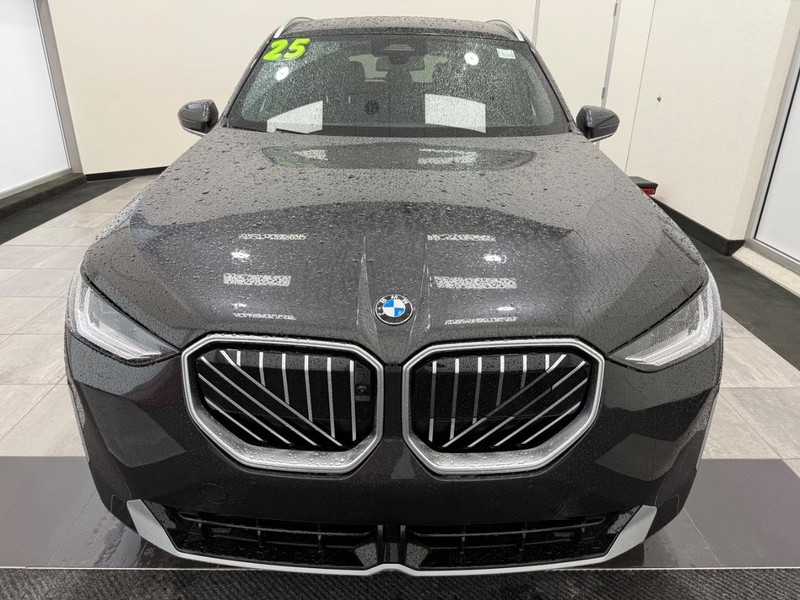 BMW X3 Vehicle Full-screen Gallery Image 7