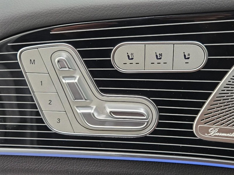 Mercedes-Benz GLE Vehicle Image 10