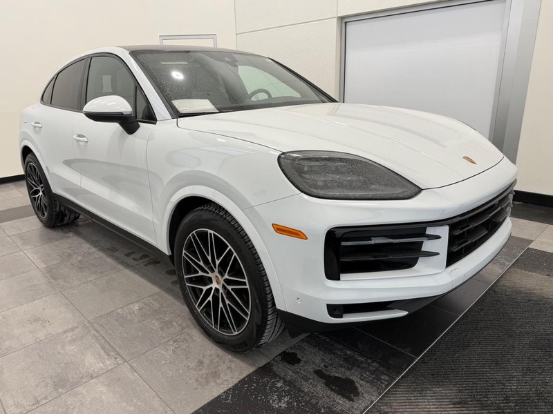 Porsche Cayenne Vehicle Full-screen Gallery Image 10